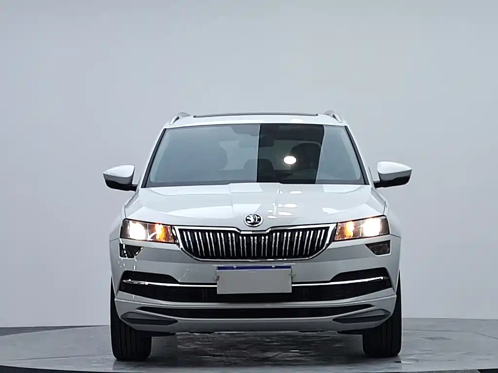 Skoda Karoq 2024 — фото 4