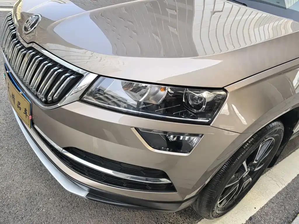 Skoda Karoq 2019 — фото 9