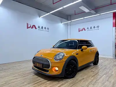 MINI MINI 2016