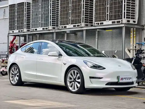 Tesla Model 3 2019