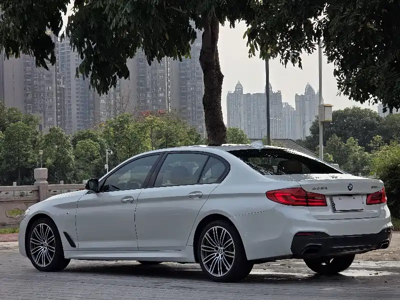BMW 5 Series 2017 — фото 9