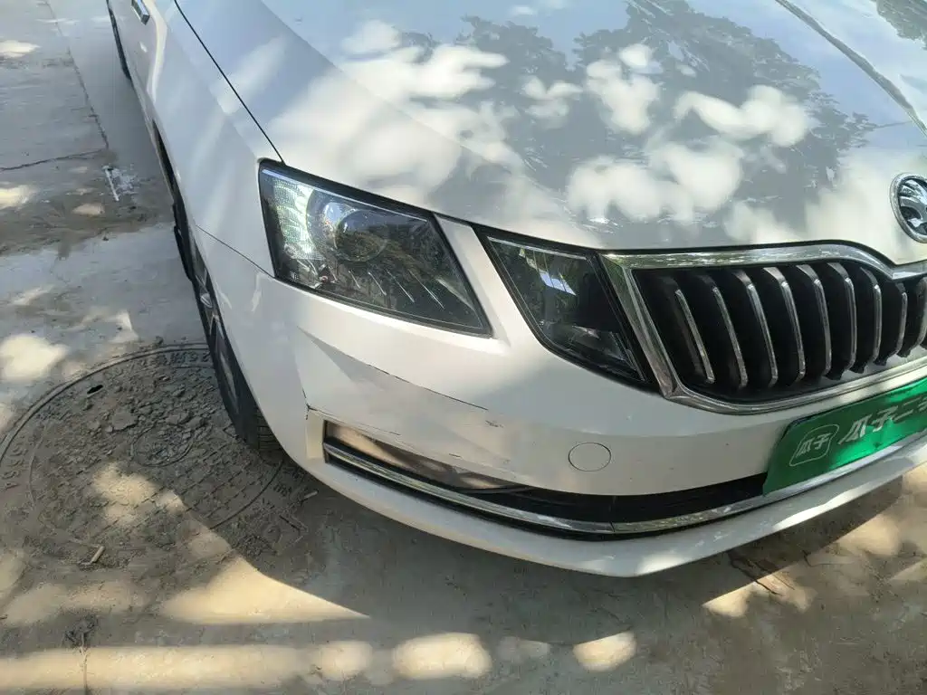 Skoda Octavia 2021 — фото 14