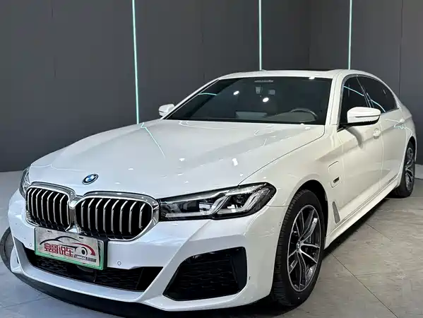 BMW 5 Series New Energy 2022