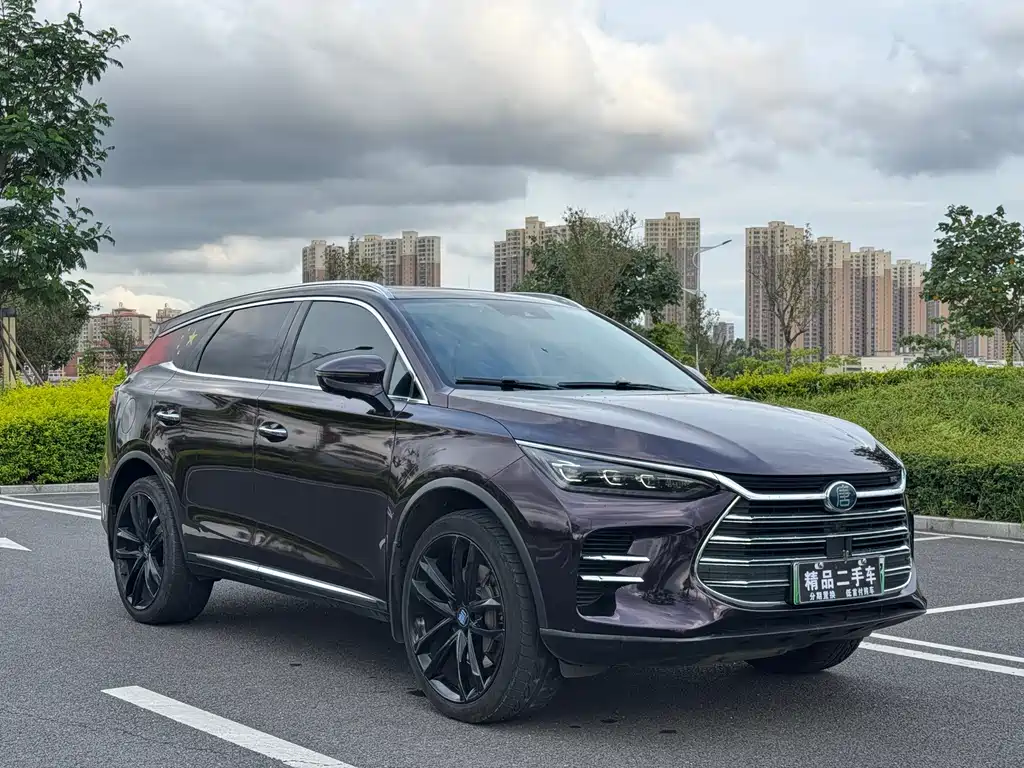 BYD Tang New Energy 2019 — фото 3