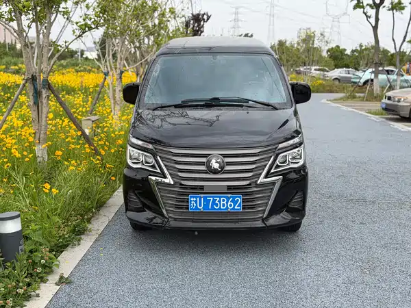 Dongfeng Lingzhi 2022