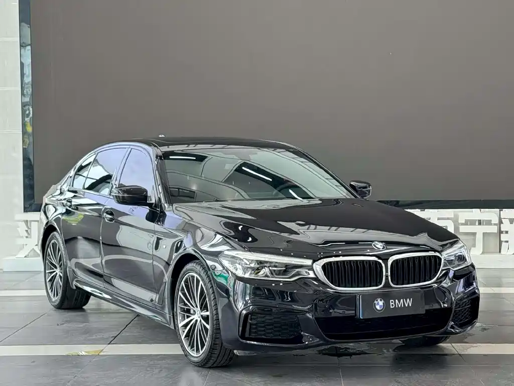 BMW 5 Series 2019