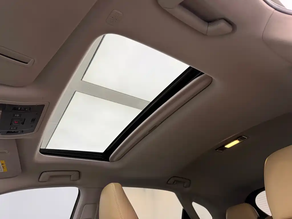 Lexus RX 2020 — фото 14