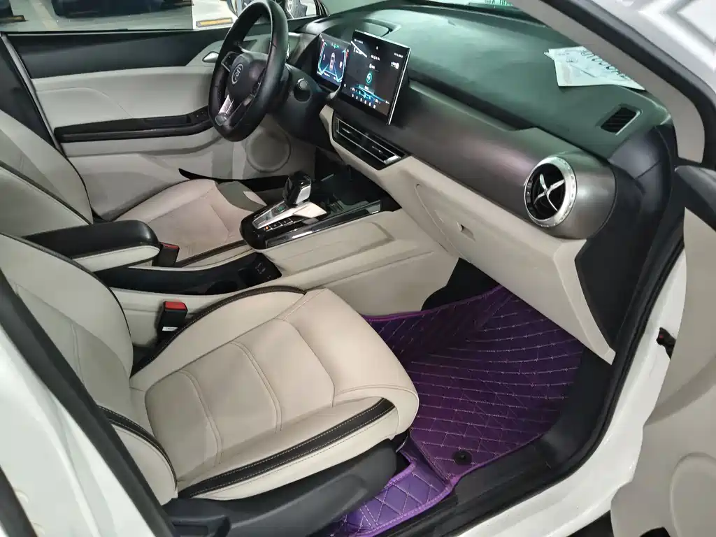 BYD Yuan Pro 2022