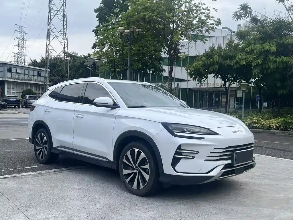 BYD PLUS New Energy 2023 — фото 2