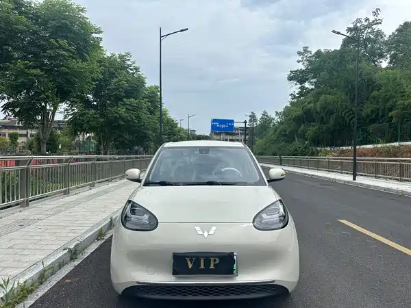Wuling Bingo 2023