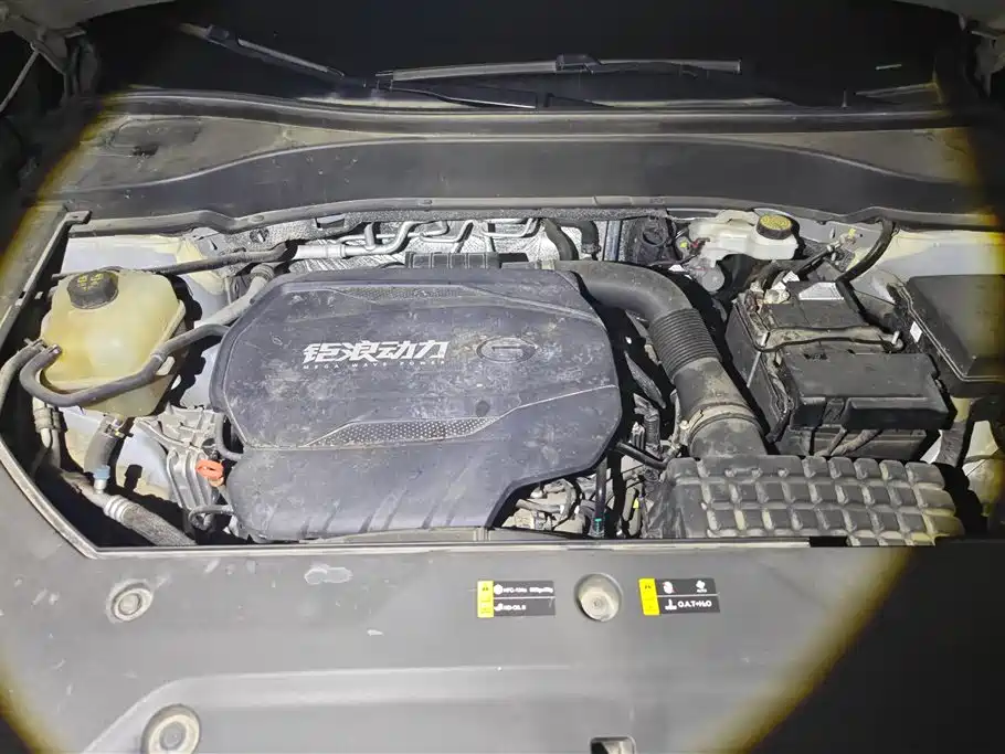 GAC Motor Trumpchi GS8 2024 — фото 10