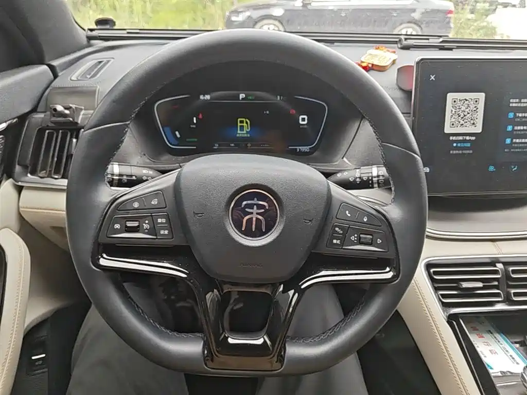 BYD PLUS New Energy 2022 — фото 11