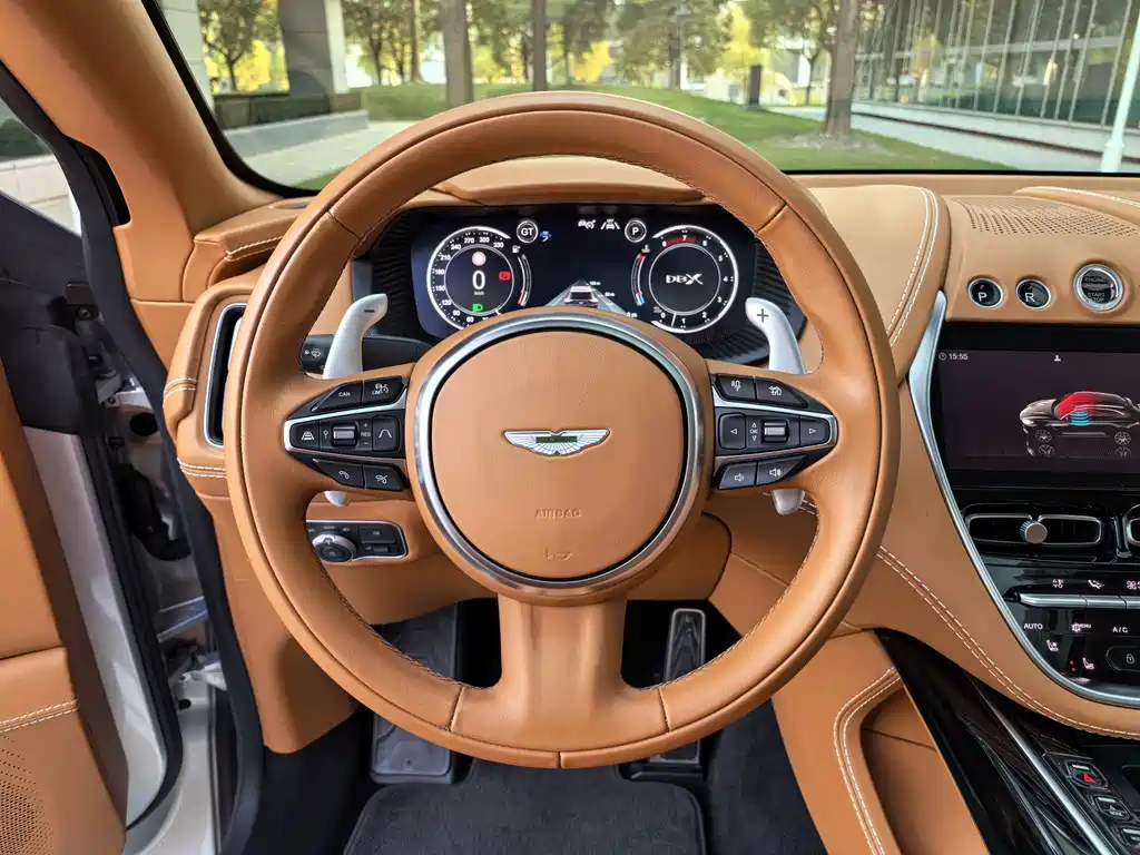 Aston Martin DBX 2022 — фото 15