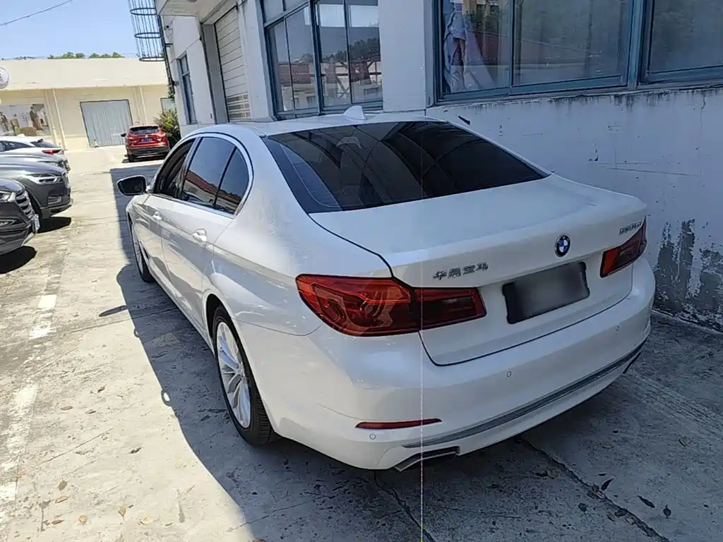 BMW 5 Series New Energy 2020