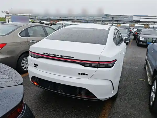 BYD Destroyer 05 2024