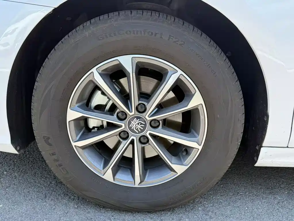 BYD Qin PLUS 2024 — фото 15
