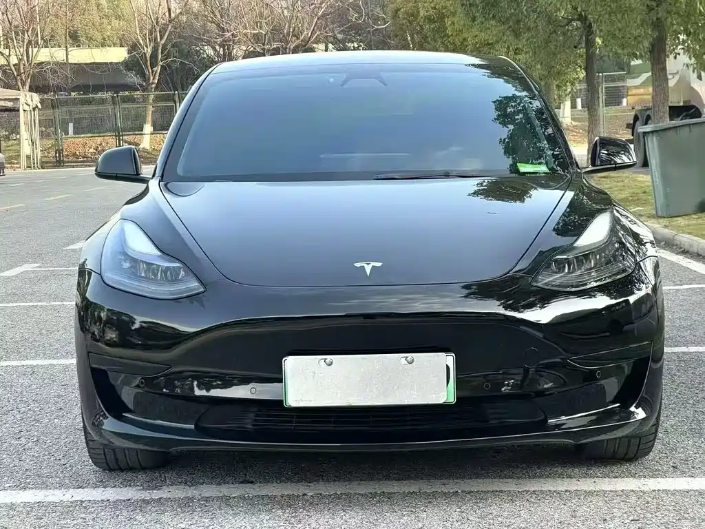Tesla Model 3 2020 — фото 2