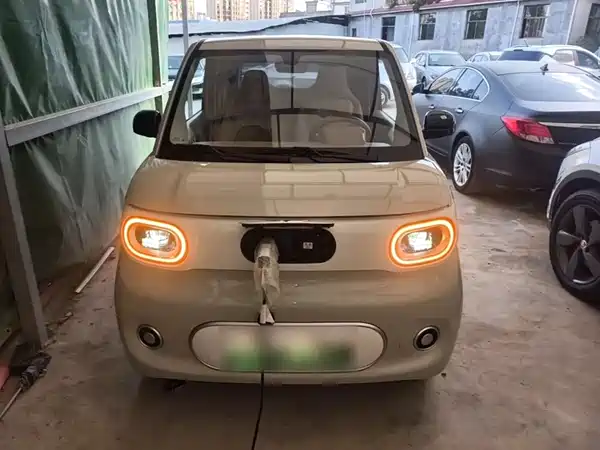 Wuling Hongguang MINIEV 2024