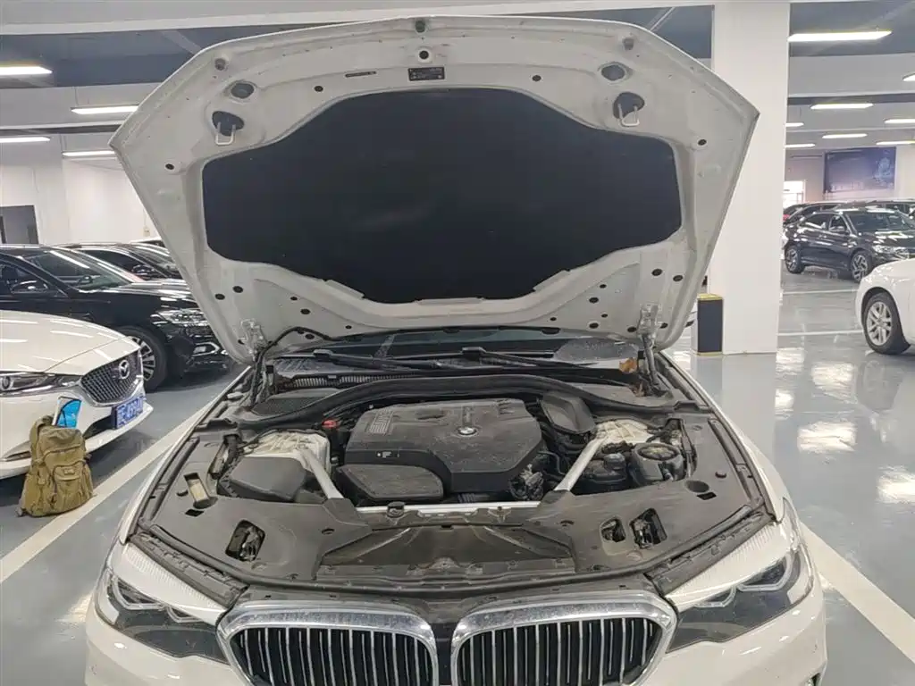 BMW 5 Series 2019 — фото 19