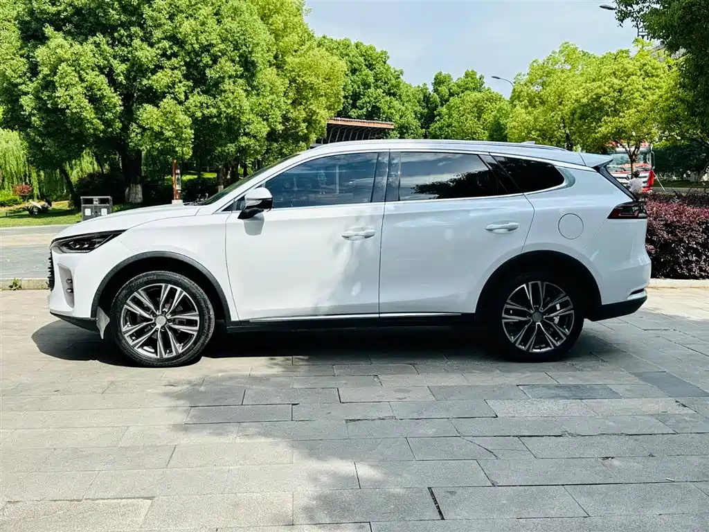 BYD Tang 2019 — фото 19