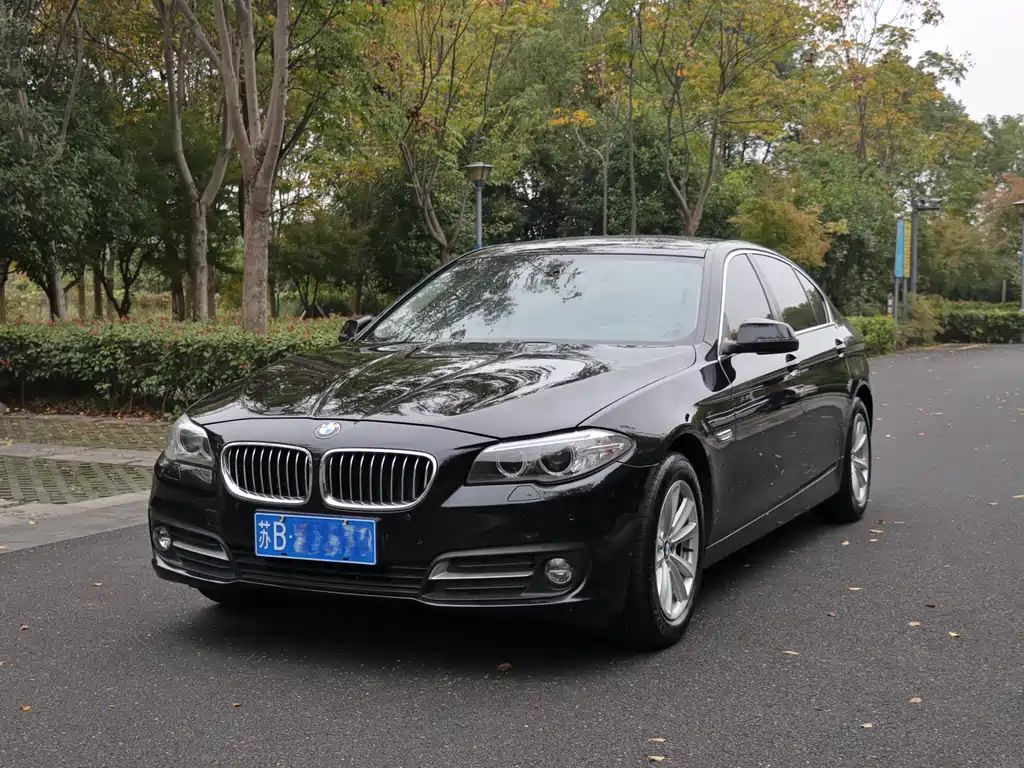 BMW 5 Series 2015 — фото 2
