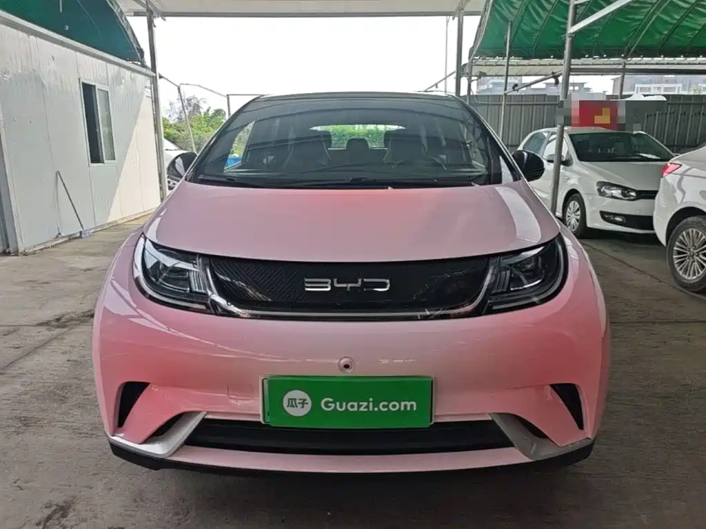 BYD Dolphin 2022