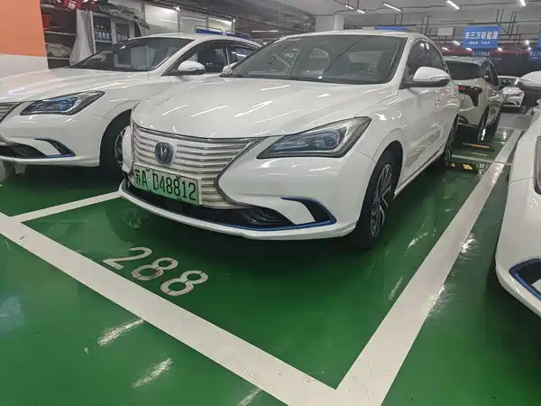 Changan Yidong New Energy 2019