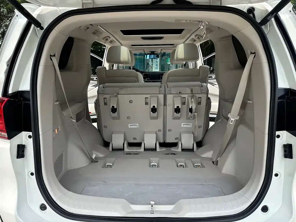 GAC Motor Trumpchi M8 2020 — фото 15