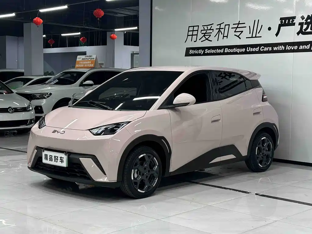 BYD Seagull 2024