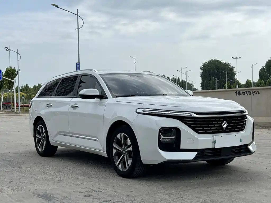 Baojun Valli 2023