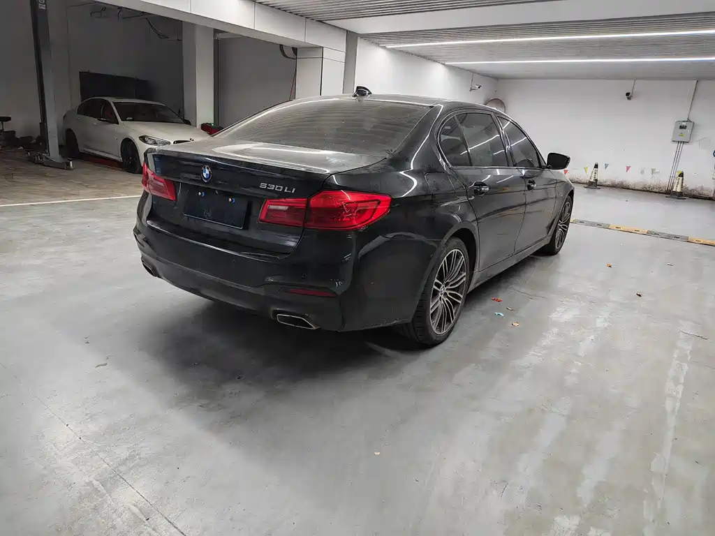 BMW 5 Series 2018 — фото 13