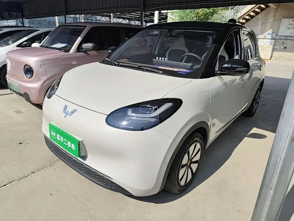 Wuling Bingo 2024