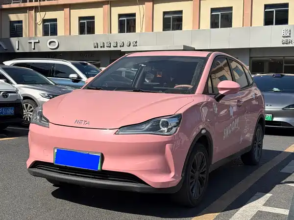 Neta V 2021