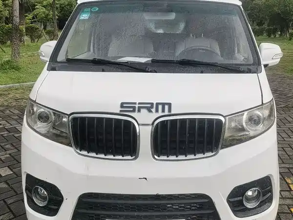 SRM Xiaohaishi EV 2020