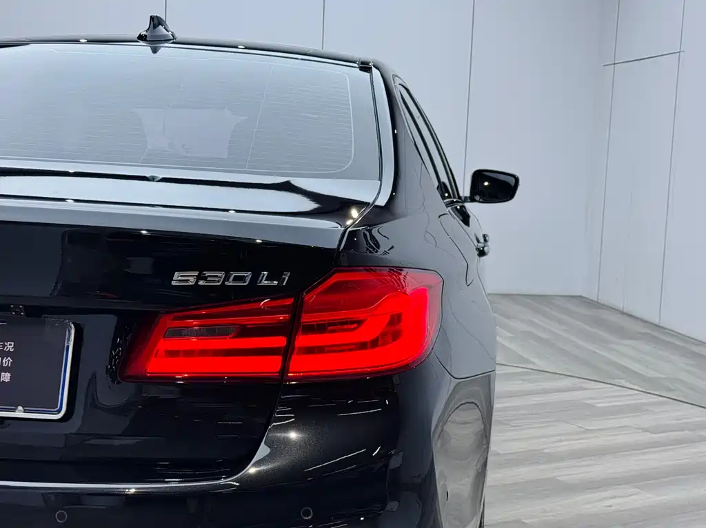 BMW 5 Series 2018 — фото 27