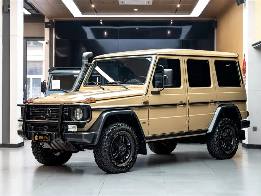 Mercedes-Benz G-Class 2010 — фото 1