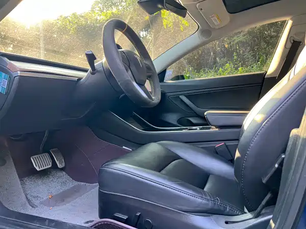 Tesla Model 3 2019