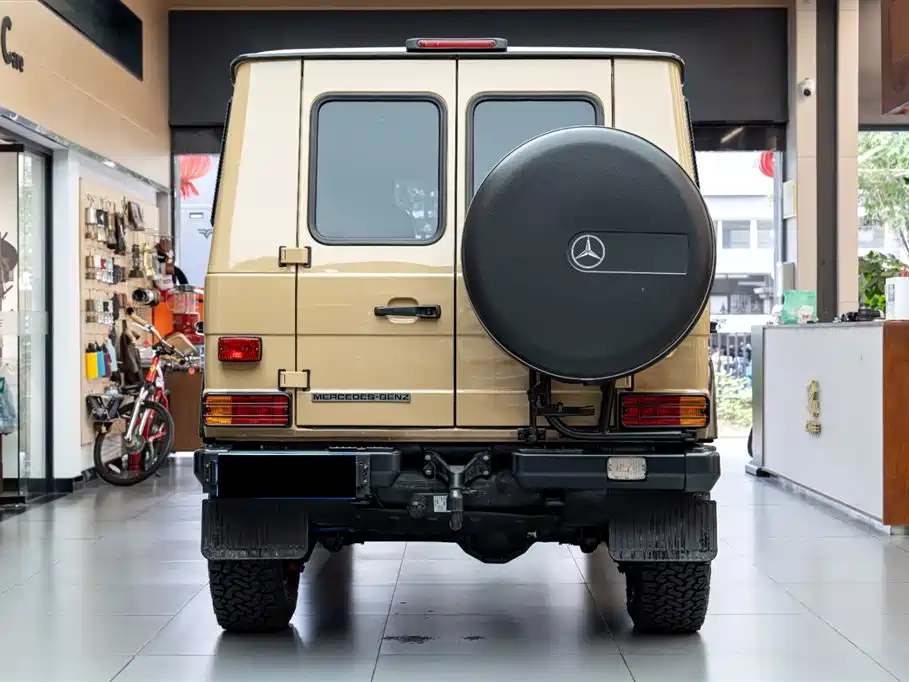 Mercedes-Benz G-Class 2010 — фото 5