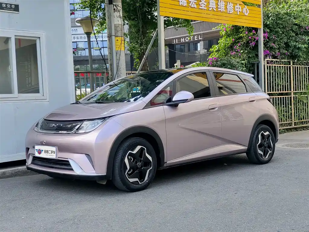 BYD Dolphin 2021