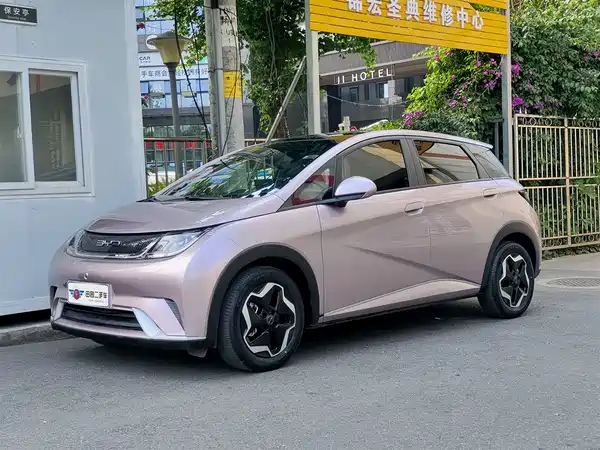 BYD Dolphin 2021