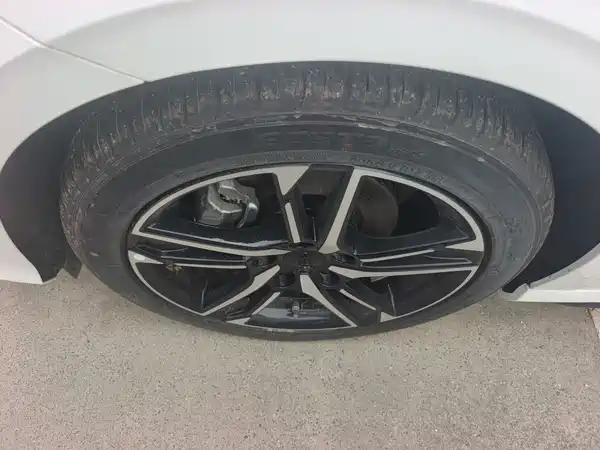 Geely Binrui 2026