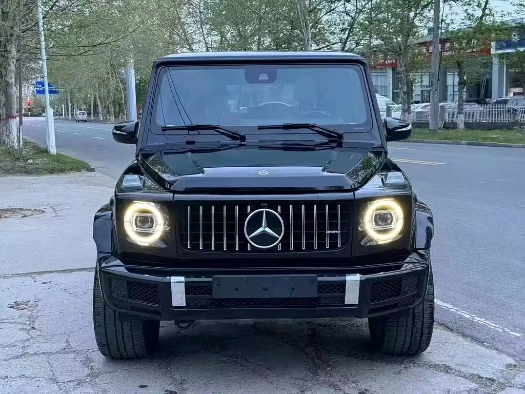 Mercedes-Benz G-Class 2019 — фото 2