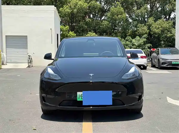 Tesla Model Y 2021