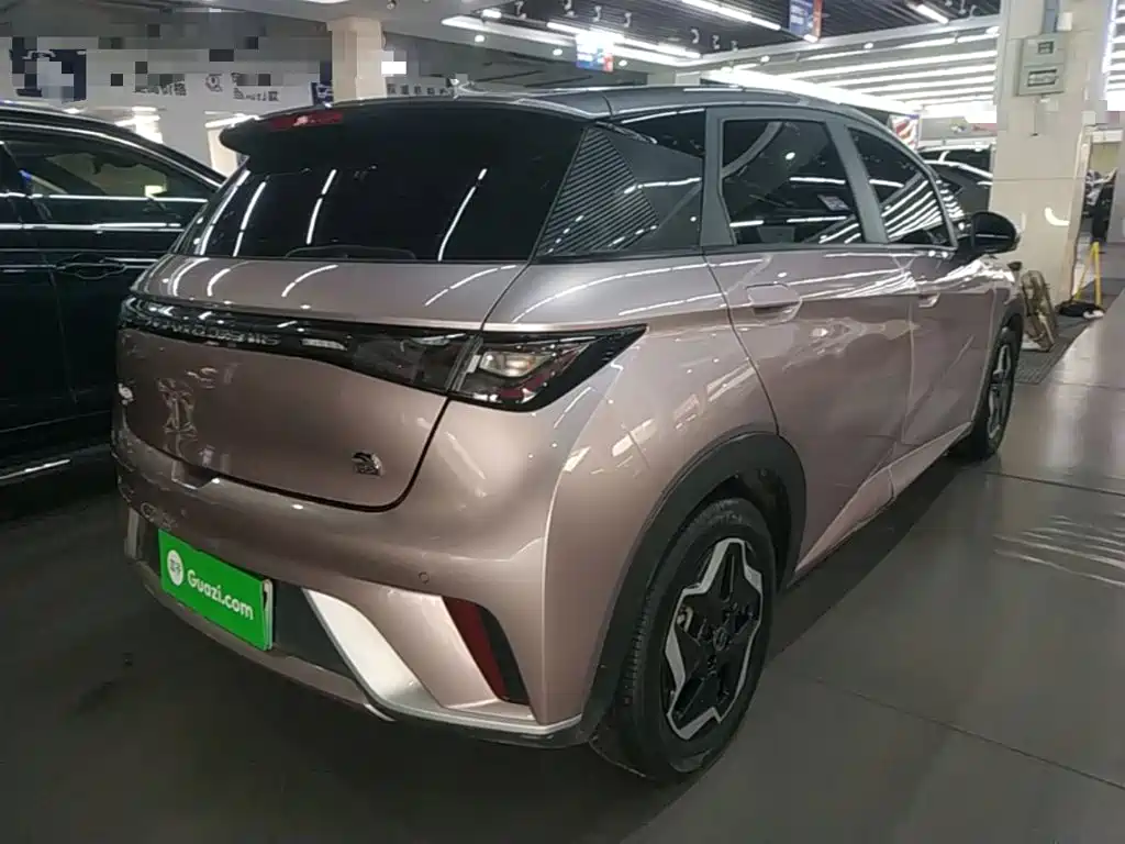 BYD Dolphin 2021