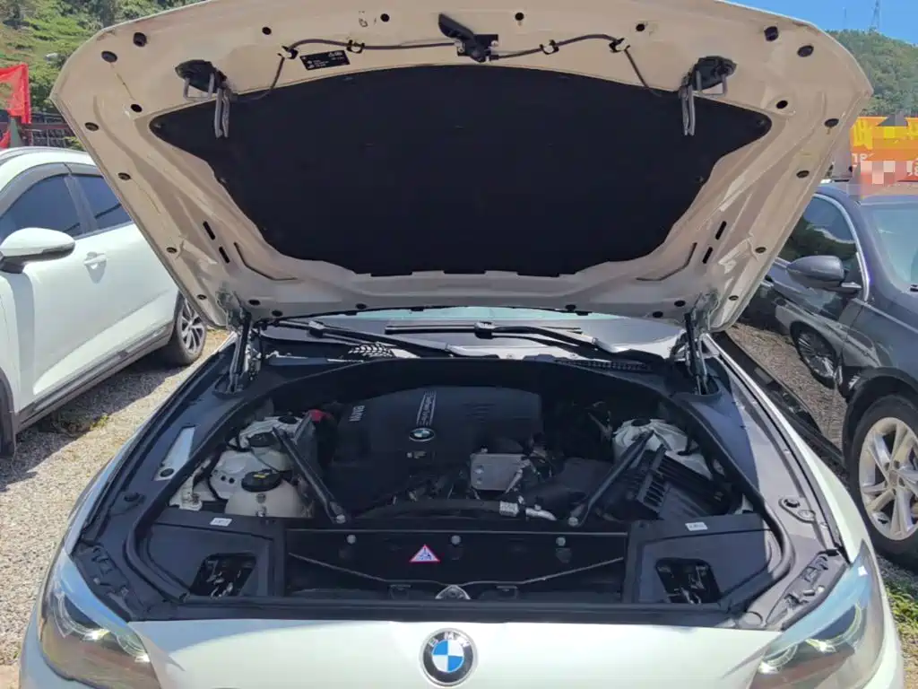 BMW 5 Series 2016 — фото 20