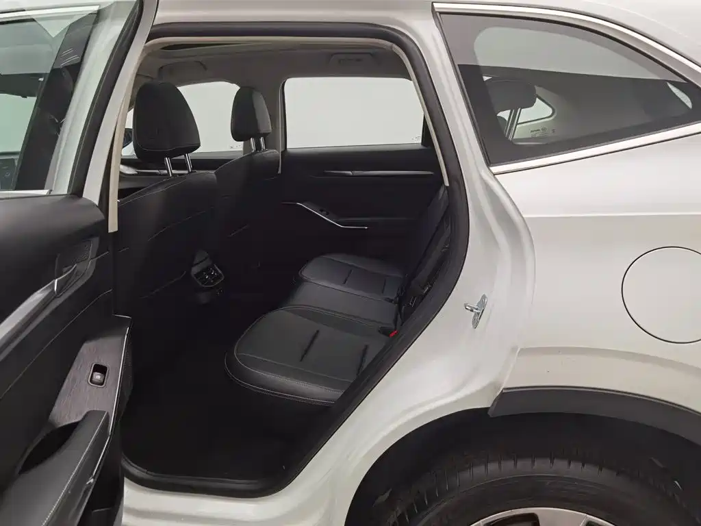 Haval H6 New Energy 2022 — фото 15
