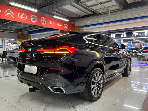 BMW X6 2021