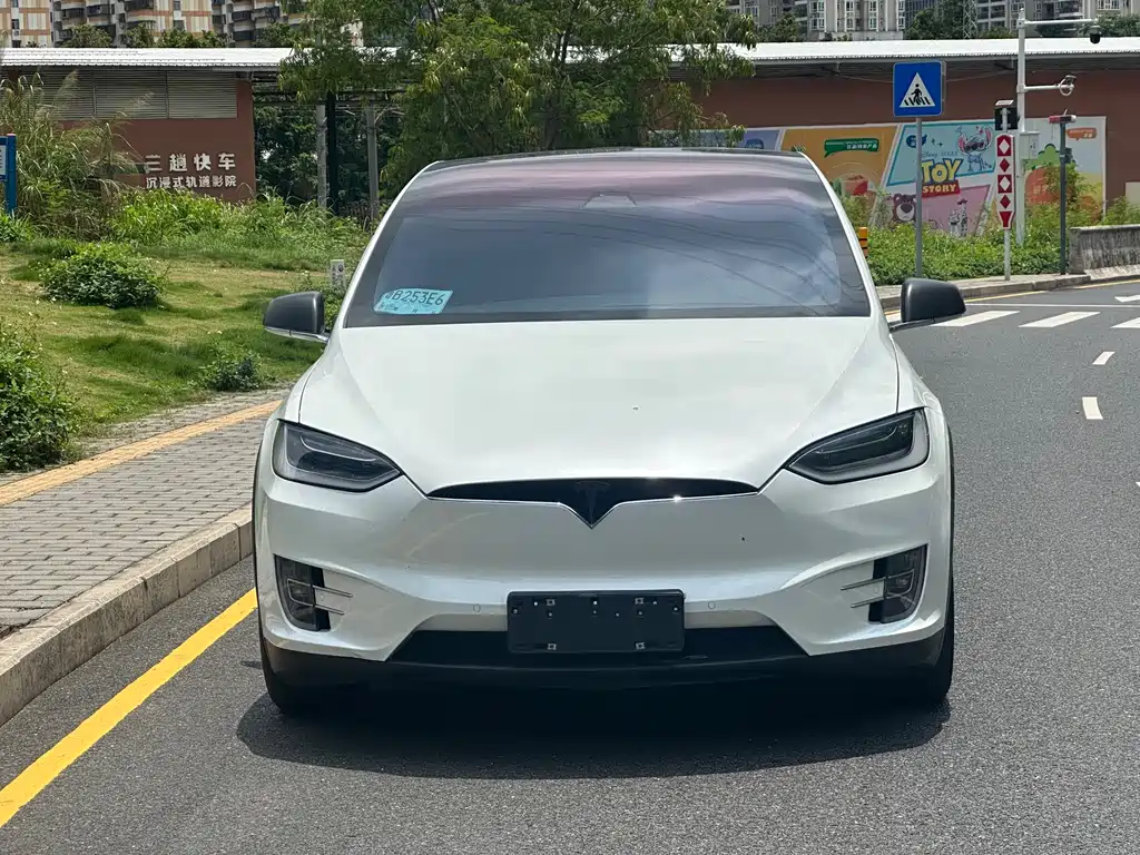 Tesla Model X 2019 — фото 2
