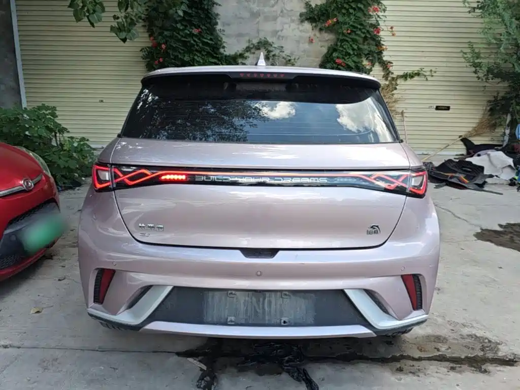 BYD Dolphin 2022