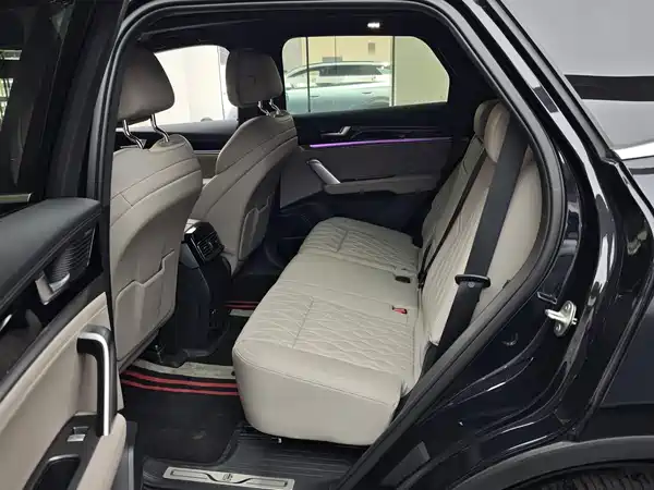 BYD Tang New Energy 2025